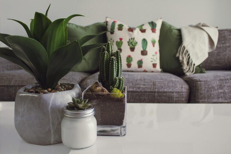 10 Sustainable Home Decor Trends for an Eco-Friendly Aesthetic